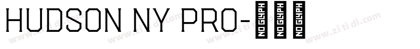 Hudson NY Pro字体转换